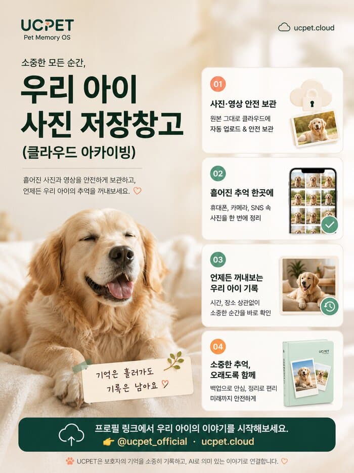 SNS 콘텐츠 디자인 카드뉴스