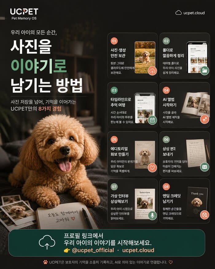 SNS 콘텐츠 디자인 카드뉴스